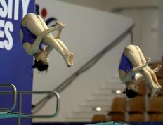 世俱杯决赛-关于墨西哥游泳选手实现突破获得好成绩的信息