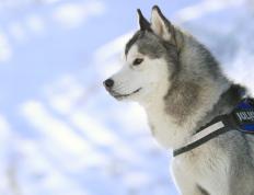 世俱杯-双线辉煌，摩纳哥压哨绝杀罗马，斯通斯欧冠决赛主宰战局