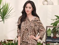 世俱杯直播-无解利刃与体系洪流，篮球世界的两种绝对征服