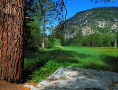 世俱杯奖金-巨星独奏与草根交响，足球舞台上的光与尘