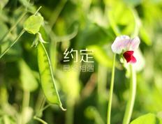 世俱杯赛程-英超争冠夜与哈登满分夜，跨越海洋的体育狂欢