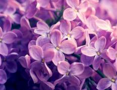 世俱杯改制-不眠之夜的对望，曼城与利拉德的共时传奇