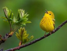 世俱杯奖金-死神降临！拉文末节19分一波流带走76人