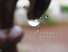 世俱杯决赛-铁卫的冷静与雄鹰的逆袭，巴斯托尼关键回合不手软，奥地利关键战突围罗马