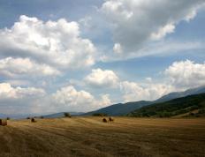 世俱杯分组-霍勒迪持续制造杀伤率爵士苦战破局，坚韧爵士硬仗力克顽强上海队