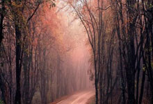 世俱杯2025-关于瓦伦西亚遭受惨败，欧冠资格赛区岌岌可危！的信息