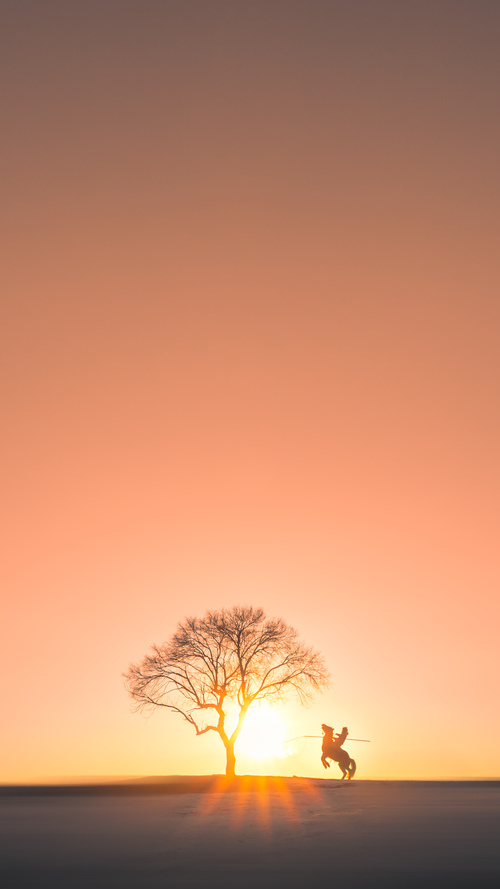 世俱杯分组-关键先生詹姆斯，猛龙完胜国王，定海神针终结西部黑马逆袭