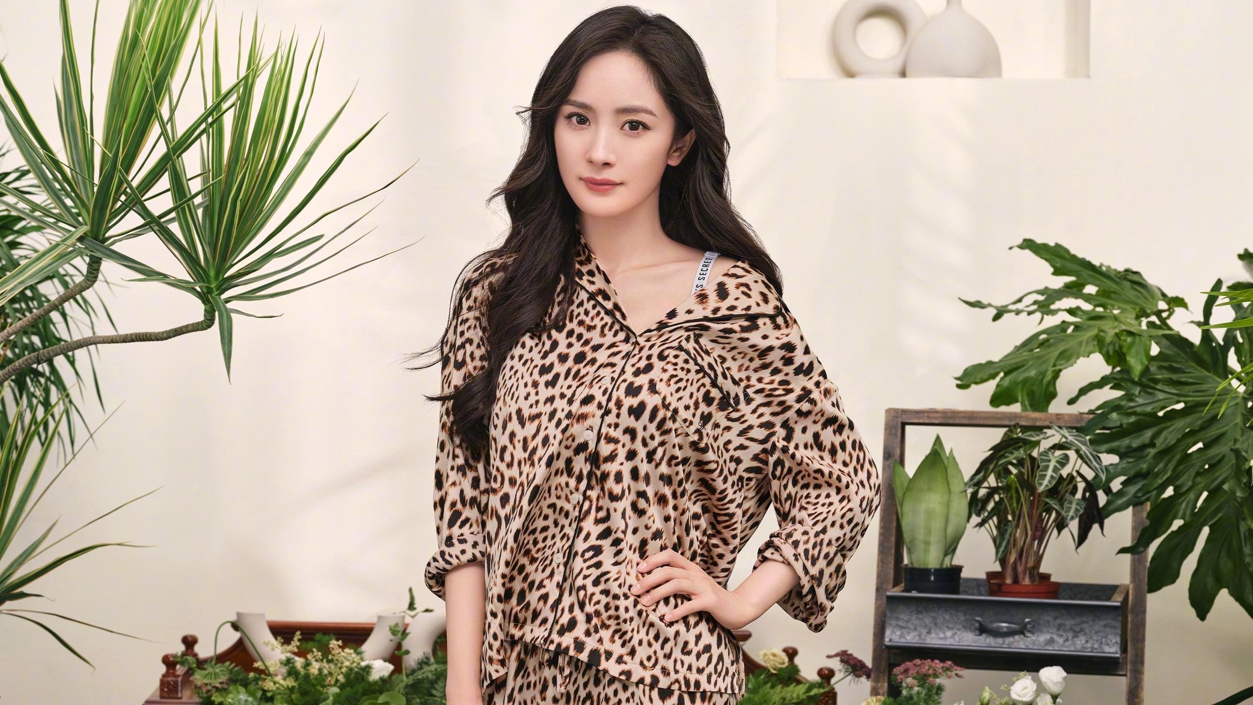 世俱杯直播-无解利刃与体系洪流,篮球世界的两种绝对征服