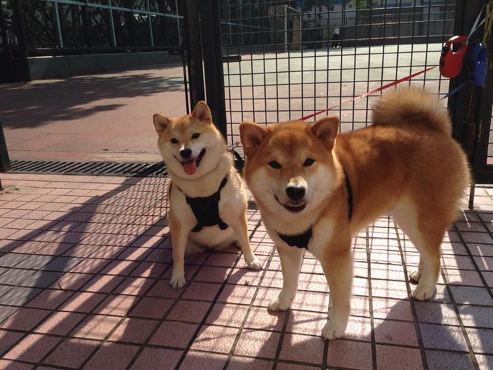 世俱杯参赛资格-双城记，当英超争冠聚焦曼彻斯特，巴黎正被中东乱局收割