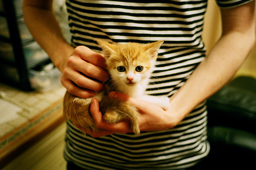 世俱杯2025-国王险胜灰熊!末节18分 克莱化身关键先生拯救萨城