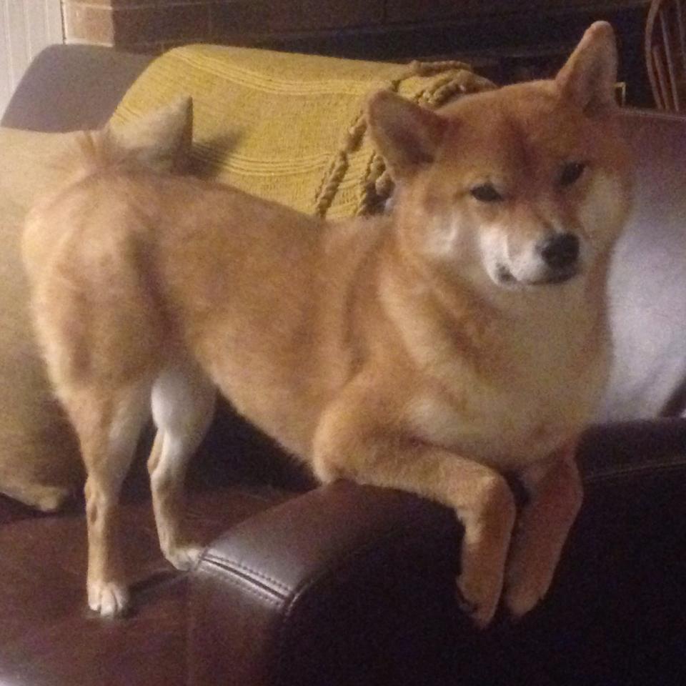 世俱杯-切特一球封喉！山西队跨联盟奇迹淘汰76人