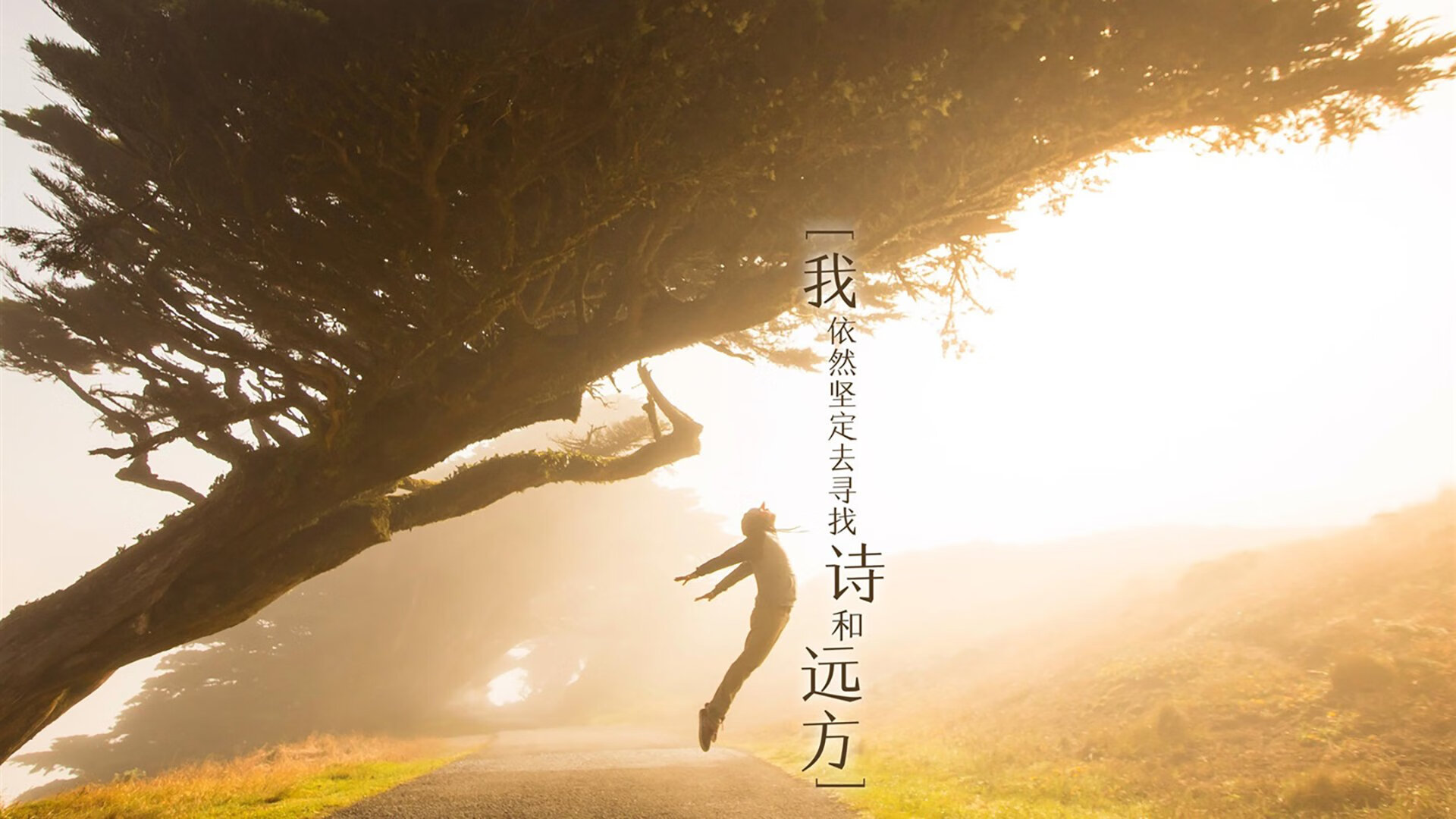 世俱杯参赛资格-致命一击,阿诺德绝杀韩国,葡萄牙昂首挺进2026世界杯