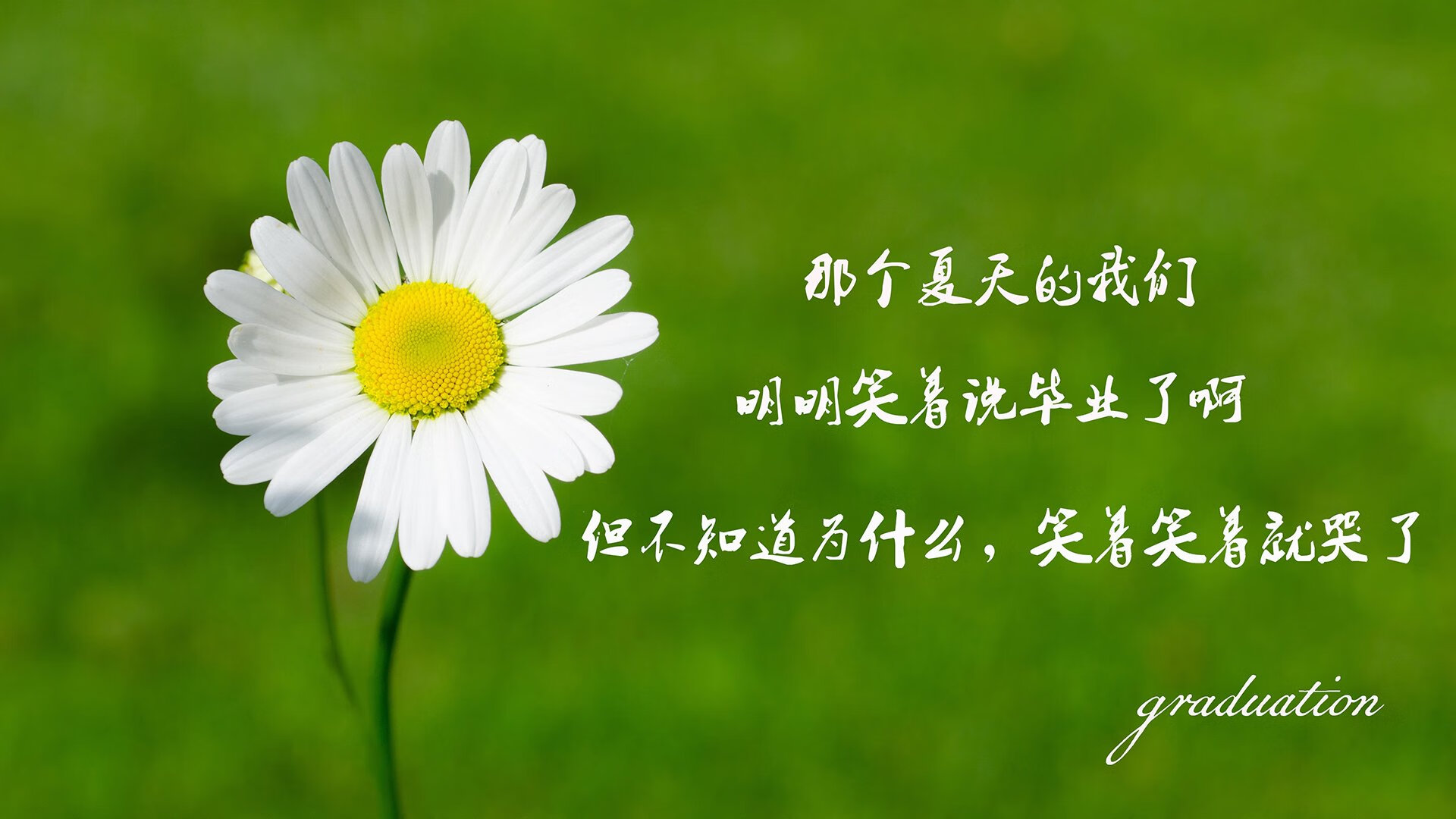 世俱杯赛程-黑马狂奔,努涅斯主导生死战,厄瓜多尔逆袭罗马尼亚挺进八强
